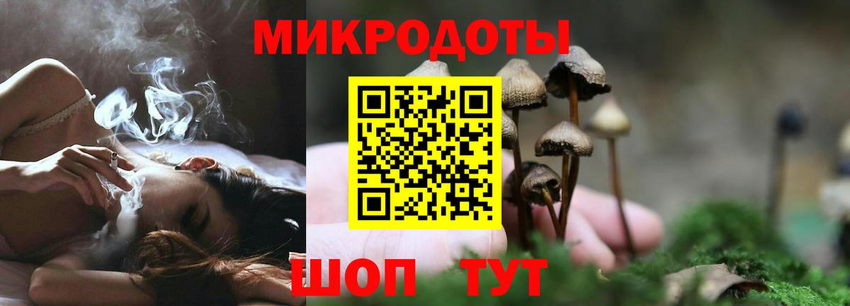 Псилоцибиновые грибы Cubensis  Псилоцибиновые грибы прущие грибы  Сосновый Бор  Вход с VPN 