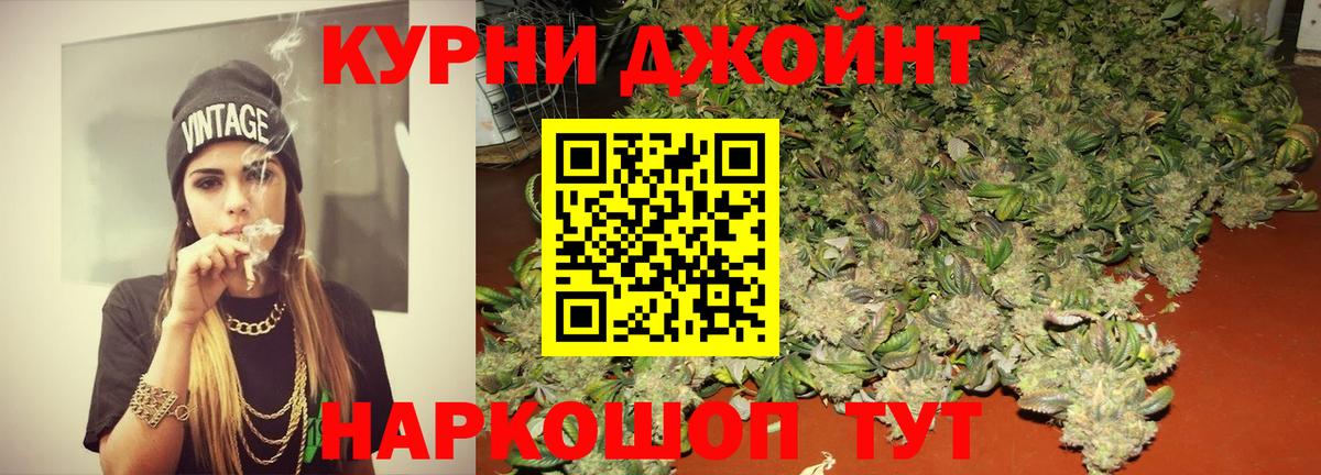 Каннабис White Widow Сосновый Бор